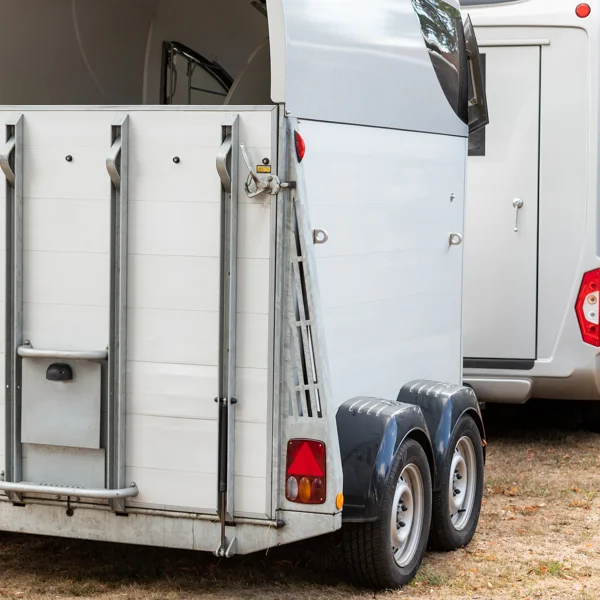 horse-box-cargo-trailer-transport-and-horse-transp-2026-01-07-00-34-54-utc.jpg horse-box-cargo-trailer-transport-and-horse-transp-2026-01-07-00-34-54-utc.jpg